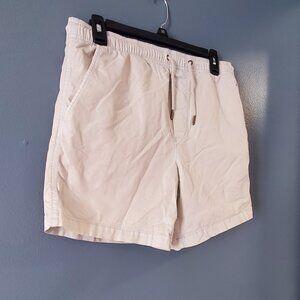 American Eagle size small Flex shorts mens very light ice blue almost white